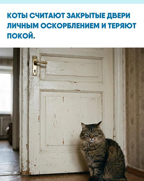  c e aa oaa   aoa eppop. oo a apa ep ...