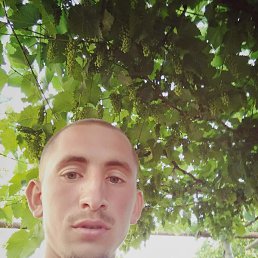 , 32, 