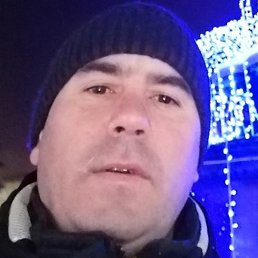 ������, ���������, 45 ���