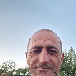 , 52, 