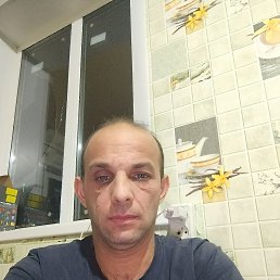 �����, 41 ���, �����