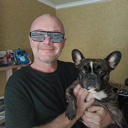 �����, 49 ���, �������