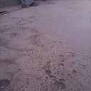 Rrr, , 37  -  3  2024    