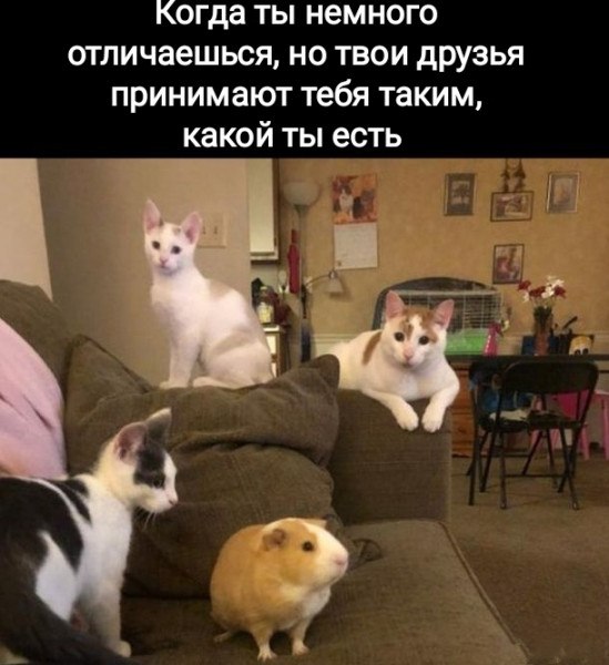  - 24  2024  17:26