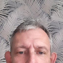 , 52, 