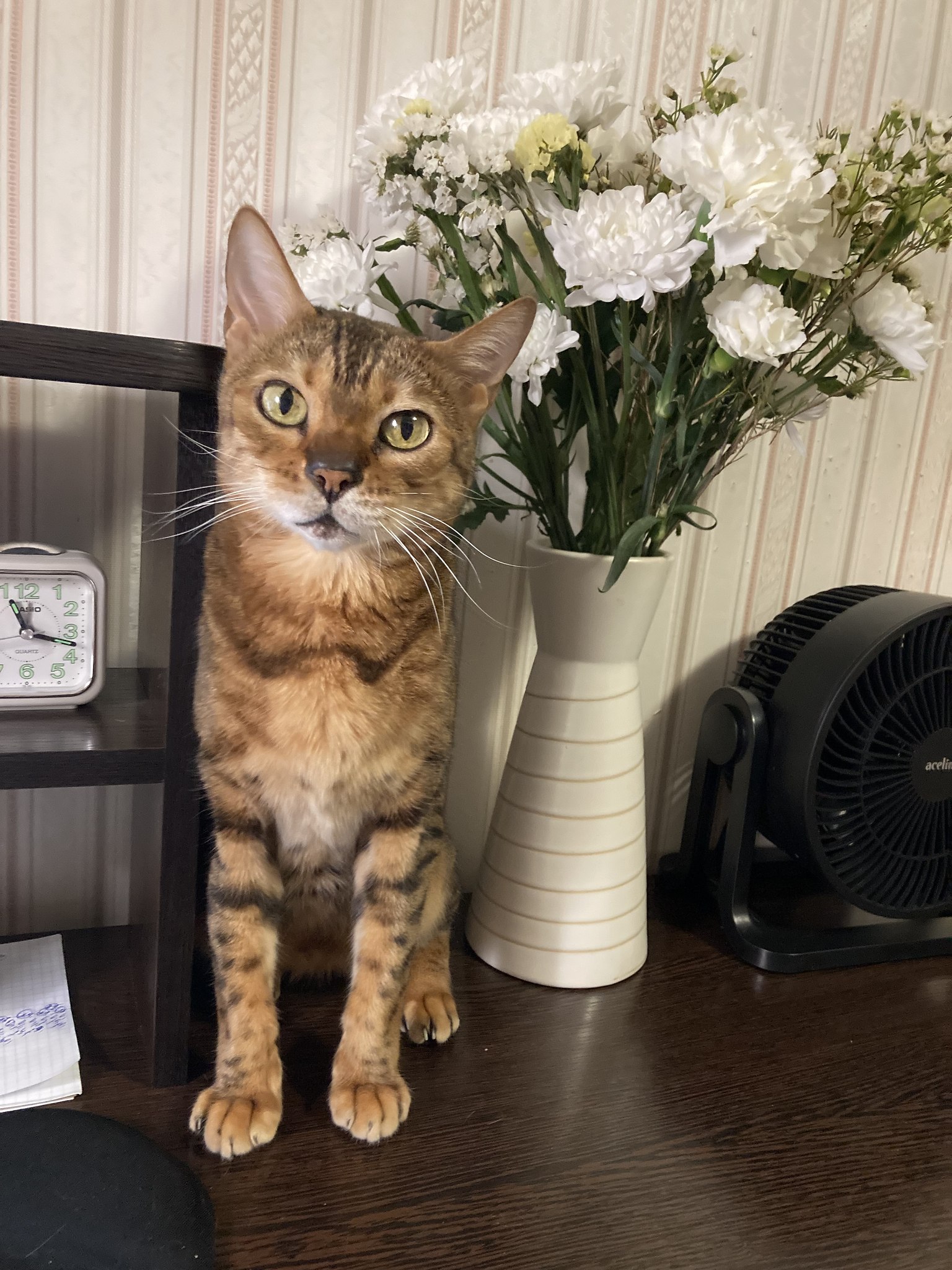 °•♥A♥° - 14  2025  16:03