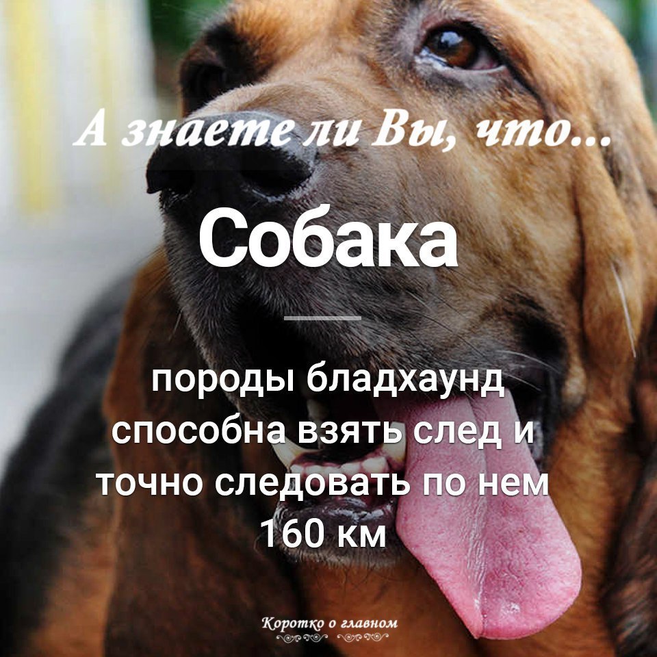 � ������ �� ��, ���...