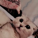 ���� Muhamab, �����-���������, 33 ���� - ��������� 27 ������� 2023