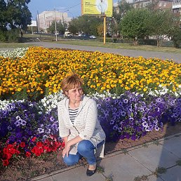 �������, �����������, 49 ���