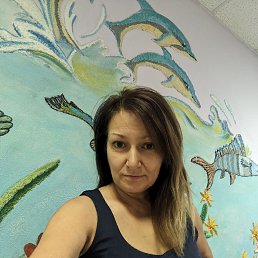 , 53, 