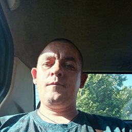 ����, 39 ���, �������