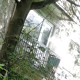 ������, �����-���������