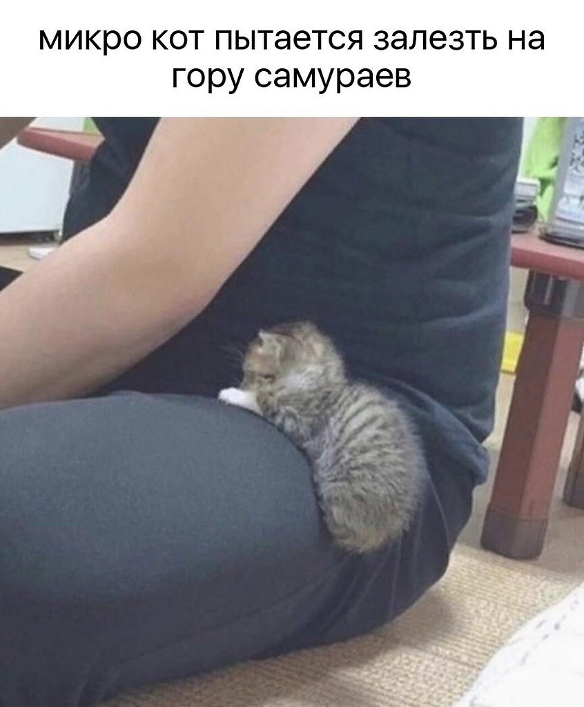    - 31  2024  18:28