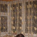 ���� ����, ������ - ��������� 9 �������� 2025 � ������ ���� ����������