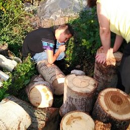 �������, ������, 71 ���