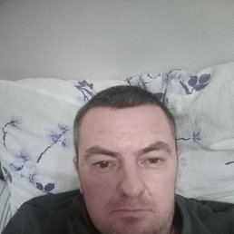 , 44, 