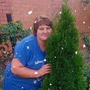 ��������, 57 ���, ������