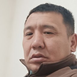 �����, ������, 43 ����