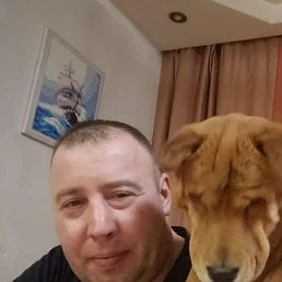 �������, 42 ����, ����