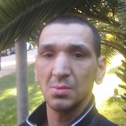 ����, ���������, 40 ���