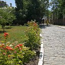 ���� �������, ������, 60 ��� - ��������� 23 ������� 2025 � ������ ������-������������� ��������� � ���������