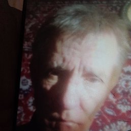 , 61, 