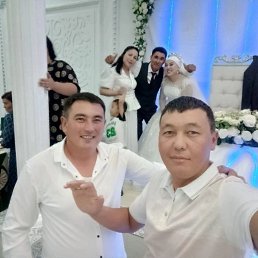 , 37, 