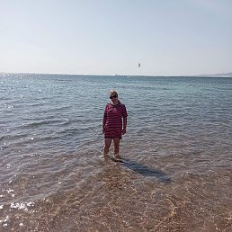 ���������, �������, 37 ���