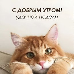 , , 59 