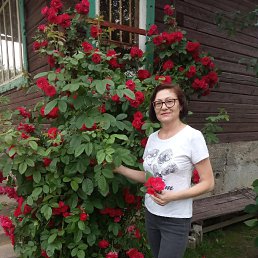 , 59, 