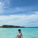 ���� ����, �����������, 39 ��� - ��������� 3 ������ 2024 � ������ ���� ����������
