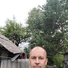 , 40, 