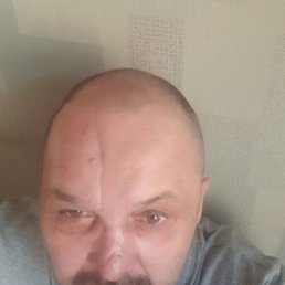 , 53 , 