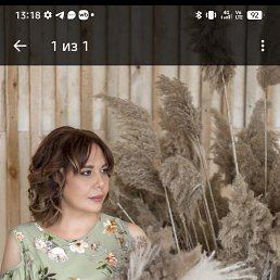 , 53, 