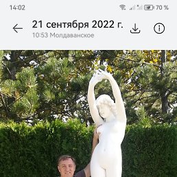 , 50, 