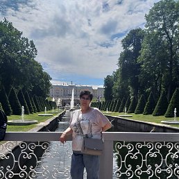 �������, ������, 66 ���