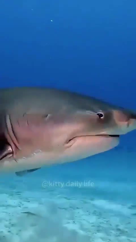 ��� ����� ���� �� ������ �������!