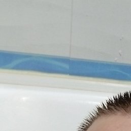 �����, ������, 33 ����