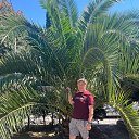 ���� ��������., �������� - ��������� 28 ������� 2025 � ������ ���� ����������