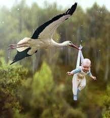 :)   e c  coce , o o , o  o. ...