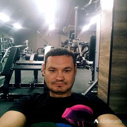 , 44, 