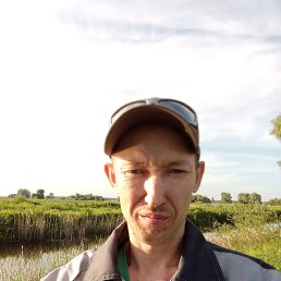 , 33, 