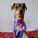 ���� ��������, ������-��-���� - ��������� 2 ������� 2025 � ������ ������ ��������