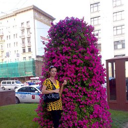 ��������, ���������, 45 ���