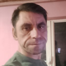 ������, ����, 42 ����