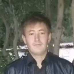 ����, ���������, 28 ���