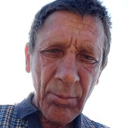 , 53 , 