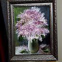 ���� ���������, ������, 64 ���� - ��������� 8 ������ 2025 � ������ ����������