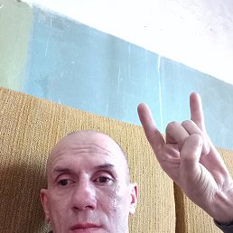 , 49, 