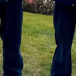 �����, �����-���������, 24 ����